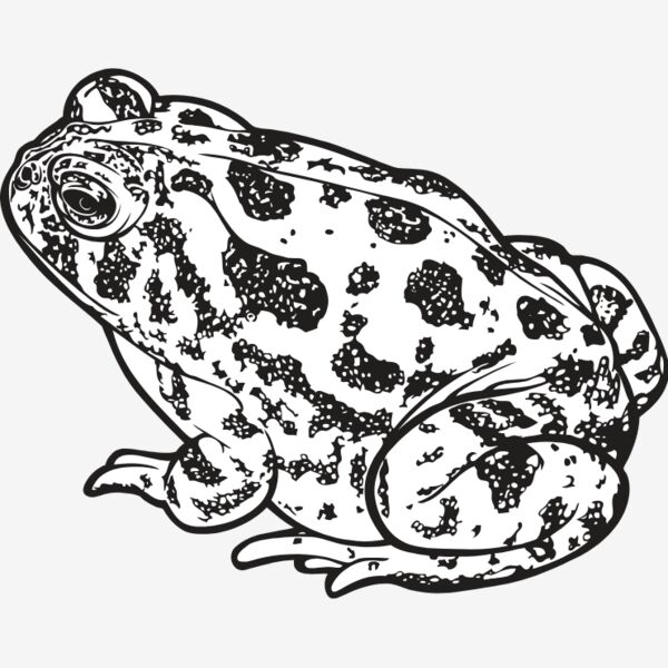 Animals Thumbnail